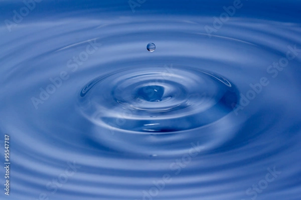 Fototapeta Water drops closeup on a blue background.