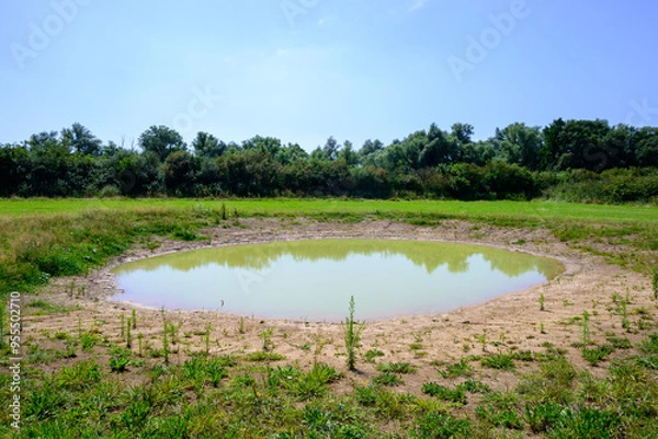 Fototapeta Photo of a fen with reflection in the water, in the wild nature surrounded by green grass and a blue sky. North Brabant, Netherlands