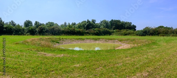 Fototapeta Panoramic photo of a round pond in the wild nature surrounded by green grass. North Brabant, Netherlands.