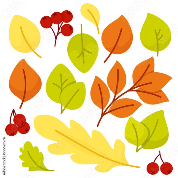 Obraz Set of autumn leaves and berries
