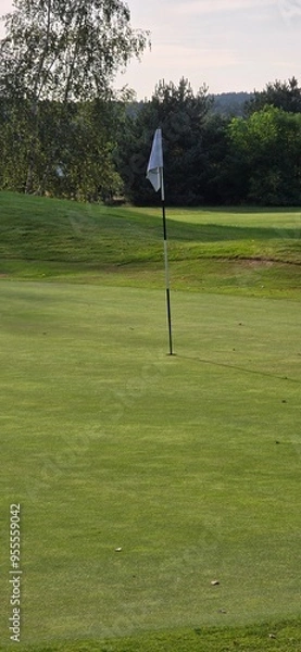 Obraz golf course with a green area, a hole, and a flagstick, surrounded by trees under a clear sky.
