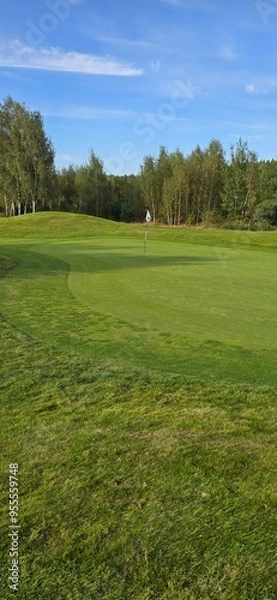 Obraz golf course with a green area, a hole, and a flagstick, surrounded by trees under a clear sky.
