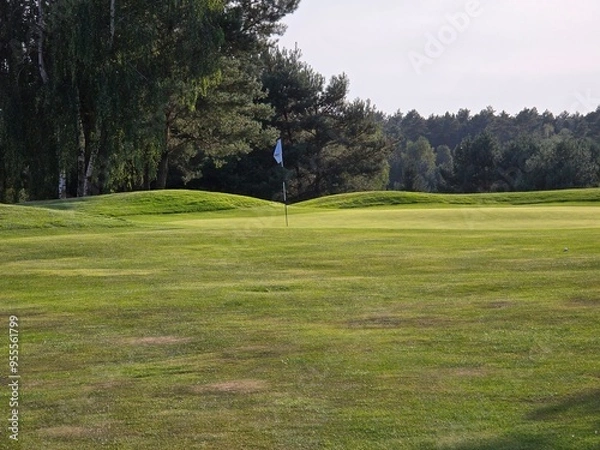 Obraz golf course with a green area, a hole, and a flagstick, surrounded by trees under a clear sky.
