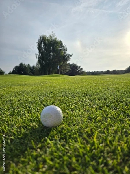 Obraz Close-up of a golf ball on grass with a blurred flagstick and green area in the background.