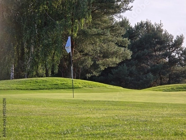 Obraz golf course with a green area, a hole, and a flagstick, surrounded by trees under a clear sky.
