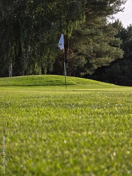 Obraz golf course with a green area, a hole, and a flagstick, surrounded by trees under a clear sky.
