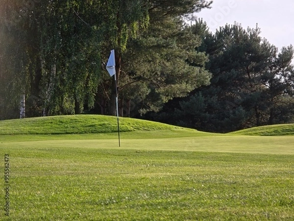 Obraz golf course with a green area, a hole, and a flagstick, surrounded by trees under a clear sky.
