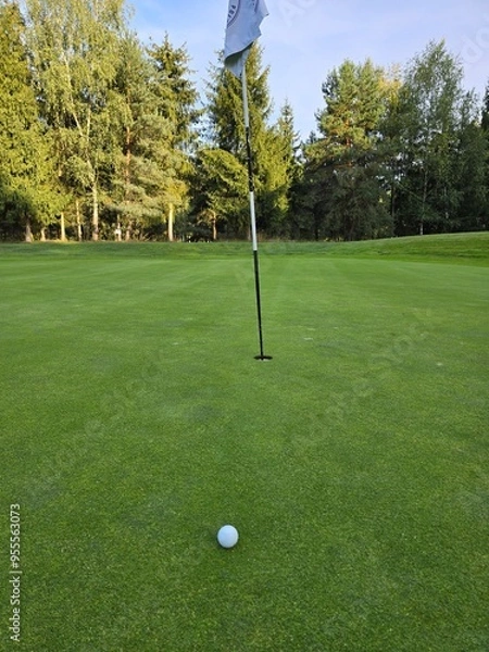 Obraz golf course with a green area, a hole, and a flagstick, surrounded by trees under a clear sky.
