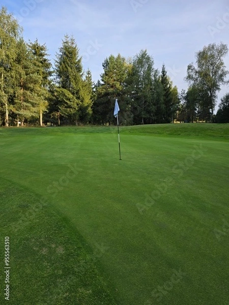 Obraz golf course with a green area, a hole, and a flagstick, surrounded by trees under a clear sky.
