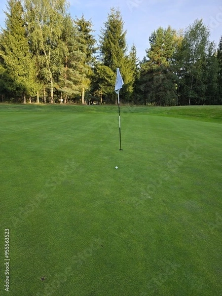 Obraz golf course with a green area, a hole, and a flagstick, surrounded by trees under a clear sky.

