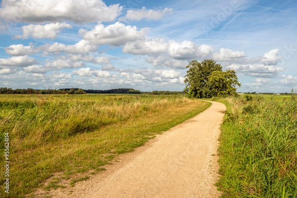 Fototapeta Bend in an unpaved cycle and walking path in a Dutch nature reserve. The photo was taken on a beautiful summer day with white cumulus clouds in the blue sky.