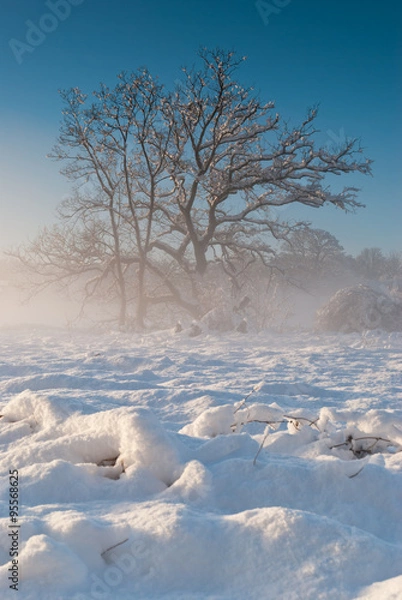 Obraz Winter scene St Fagans