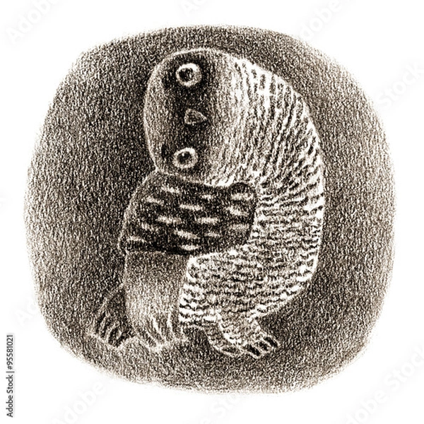 Obraz Black Banded Owl Sitting In a Hollow