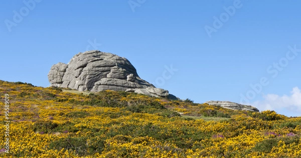 Obraz Haytor Rocks - Dartmoor, Devon - England.