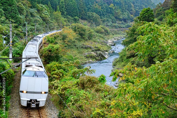 Obraz 深緑の渓谷に沿って走り抜ける福知山線の始発特急列車