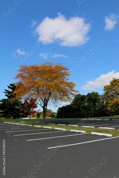 Obraz empty parking lot trees in autumn