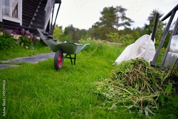 Obraz Garden wheelbarrow on courtyard