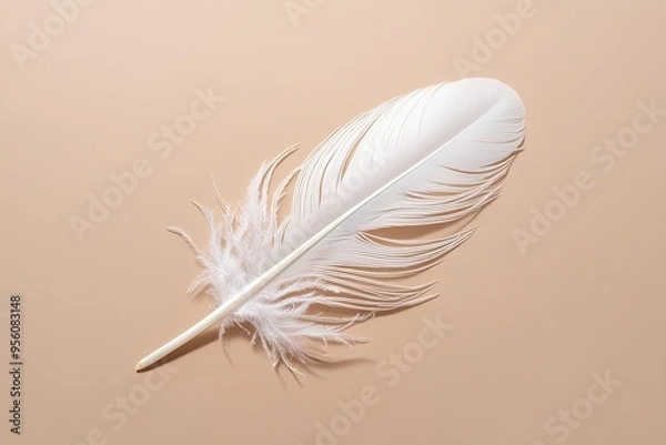 Fototapeta White Feather on Soft Neutral Background for Serenity and Calmness