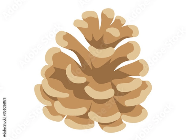 Obraz 松ぼっくり