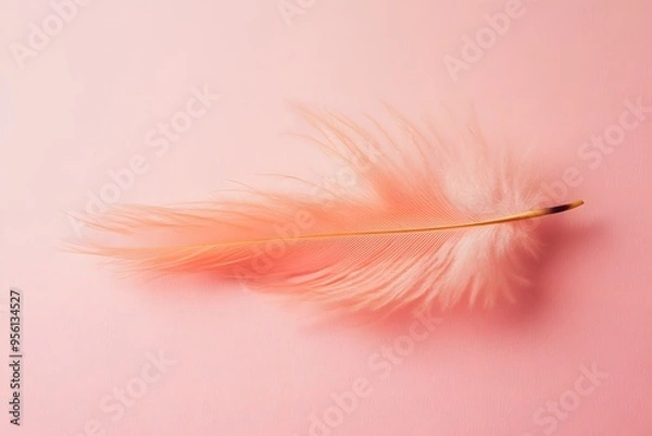 Fototapeta A single delicate pink feather rests elegantly on a soft pastel background, evoking feelings of lightness, serenity, and beauty. Ideal for themes of nature, elegance, and tranquility.