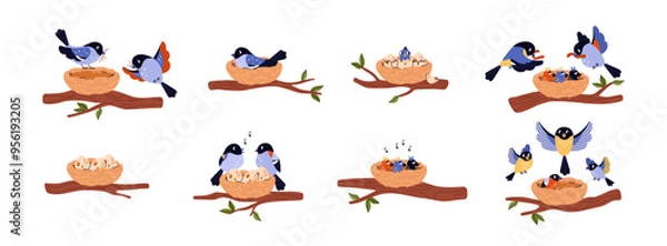 Fototapeta Cute bird family home vector flat set, couple of blue birds hatches eggs in the nest on tree branch, cares for offspring
