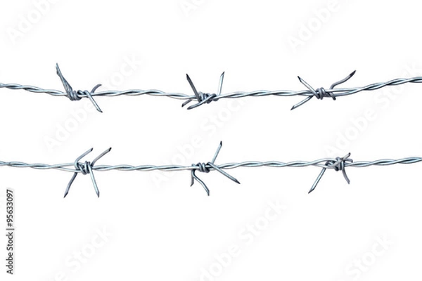 Fototapeta barb wire