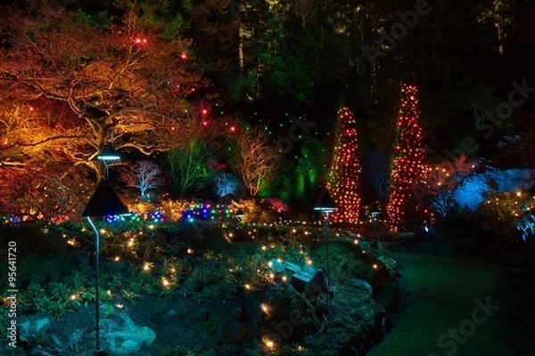 Fototapeta Christmas Eve in  Butchart Gardens