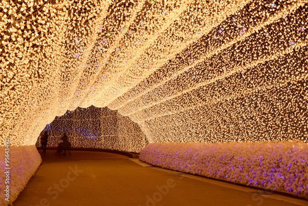 Obraz Winter illumination in Mie, Japan