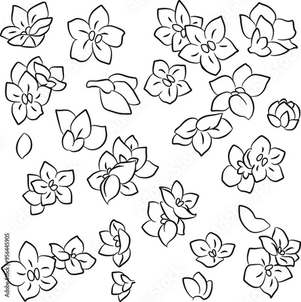 Obraz hand drawn simple flowers vector illustration
