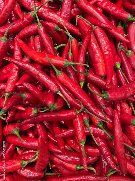 Fototapeta Abundant Red Chili Peppers. A vibrant pile of red chili peppers, showcasing various shapes and sizes. Each pepper is a bold red, with a glossy sheen reflecting the light. 
