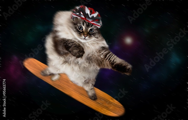 Obraz funny cat in space