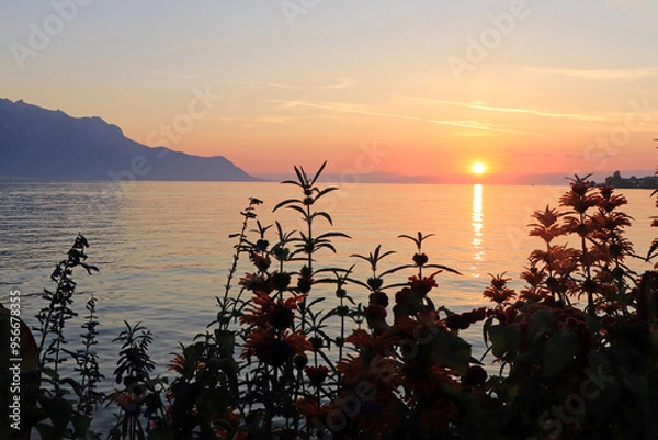 Obraz sunset on the lake