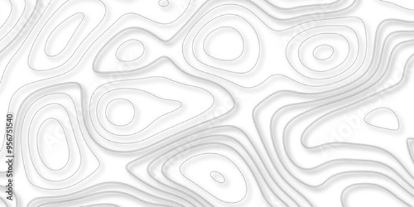 Fototapeta The Evolution of Vector Mapping Through the Lens of Topography and Topology: Enhancing Background Complexity and Cartographic Accuracy