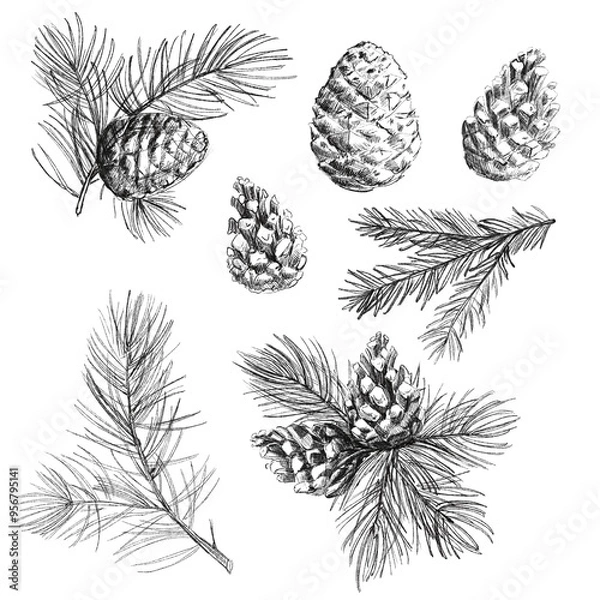 Obraz set of elements flowers and leaves and cone. Hand draw illustration, black lines