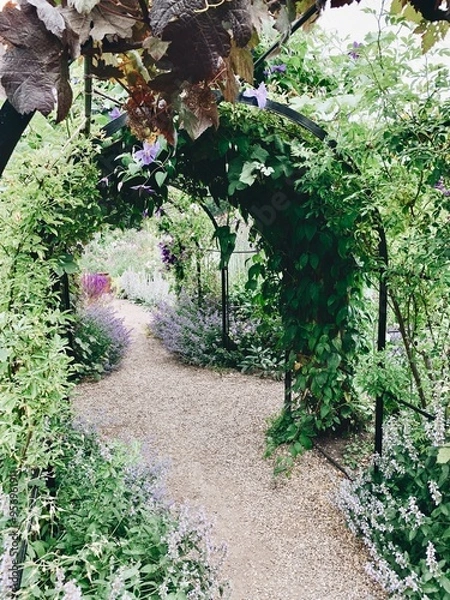 Fototapeta Garden Path