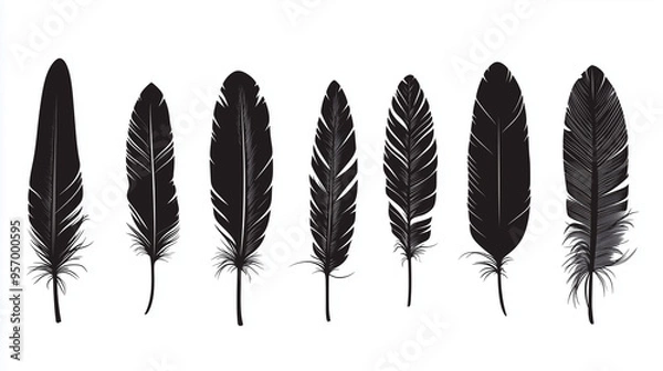 Fototapeta Black feathers icons on white background. Bird feather, plumage, decorative boho style. Wild nature and wildlife