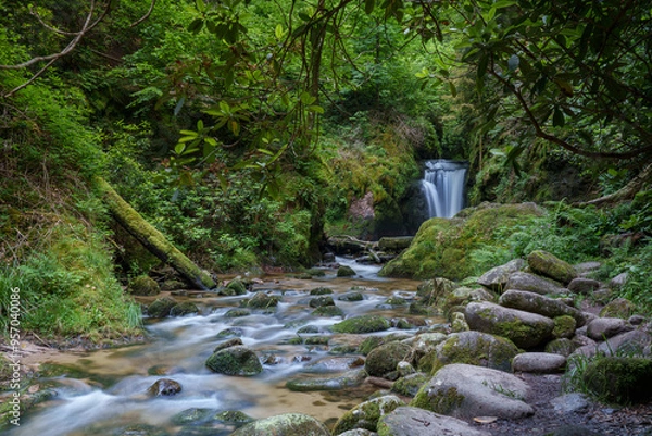 Obraz waterfall in the forest