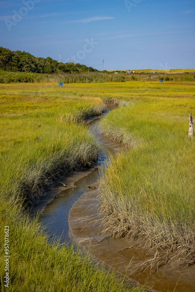 Obraz landscape with river
