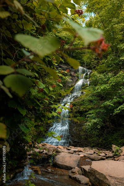 Obraz waterfall in the forest