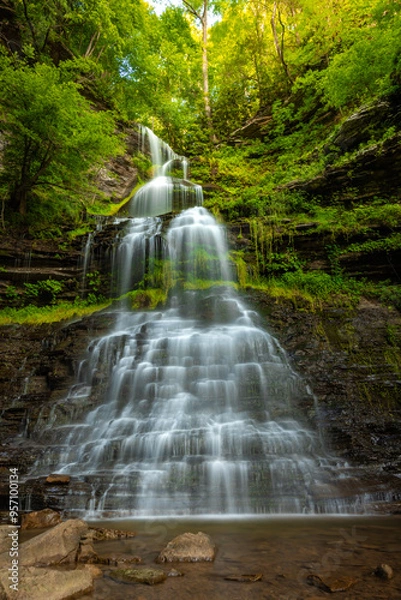 Obraz waterfall in the forest