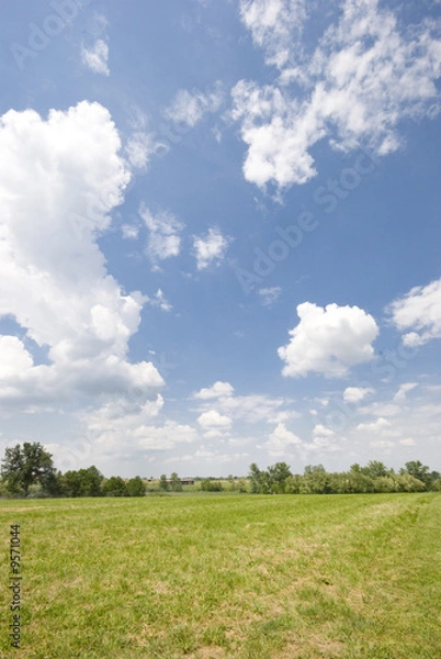 Fototapeta green field, grass and blu sky