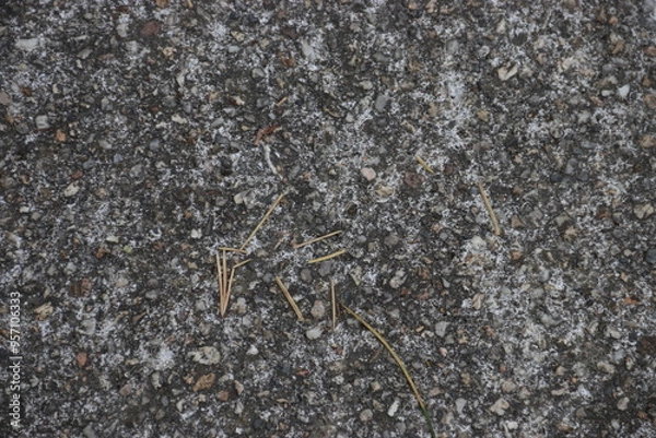 Obraz asphalt texture 