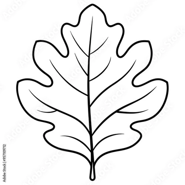 Fototapeta Minimalist Vector of a Large Oak Leaf with Veins