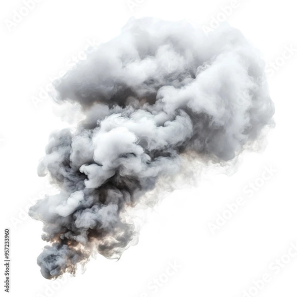 Obraz Realistic smoke cloud on transparent background