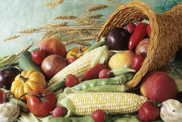 Obraz harvest cornucopia