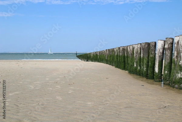 Obraz path to the sea