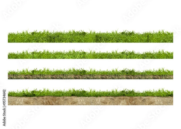 Fototapeta Layers of green grass section with soil isolated on white