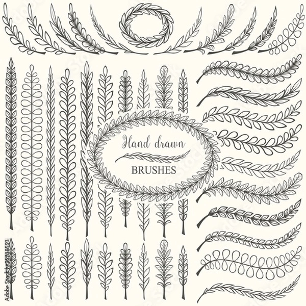 Fototapeta Hand drawn floral pattern borders and floral design elements set. Pattern and art brush templates. Vector illustration.