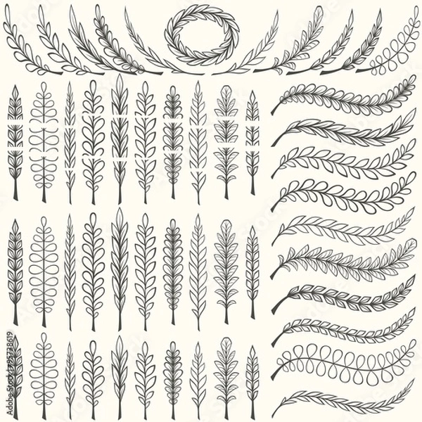 Fototapeta Hand drawn floral pattern borders and floral design elements set. Pattern and art brush templates. Vector illustration.