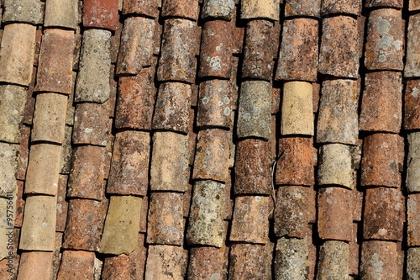 Fototapeta Stara dachówka